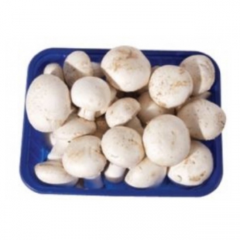 Gomba dobozos 500g