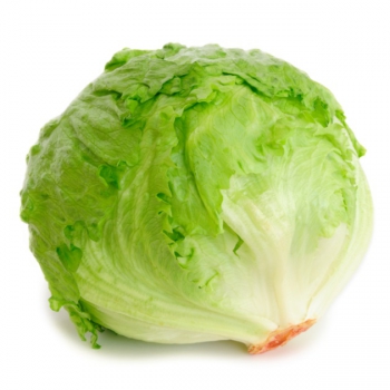 Jégsaláta